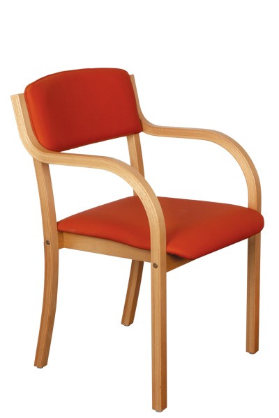 Jídelní židle FIONA, masiv buk - Z137