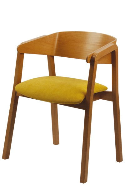 Jídelní židle MIRIAM - Z151